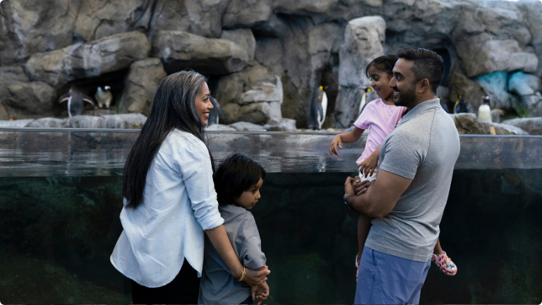20260626-calgary-zoo-768×432